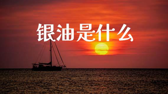 银油是什么_https://m.15771688.com_期货开户_第1张