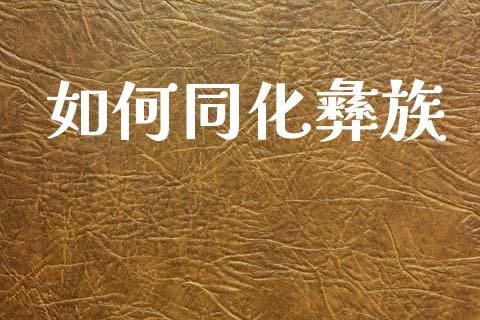 如何同化彝族_https://m.15771688.com_道指实时行情_第1张