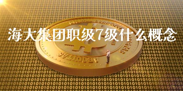 海大集团职级7级什么概念_https://m.15771688.com_美国道指_第1张