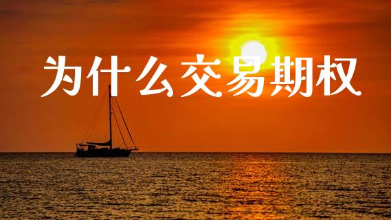 为什么交易期权_https://m.15771688.com_期货开户_第1张
