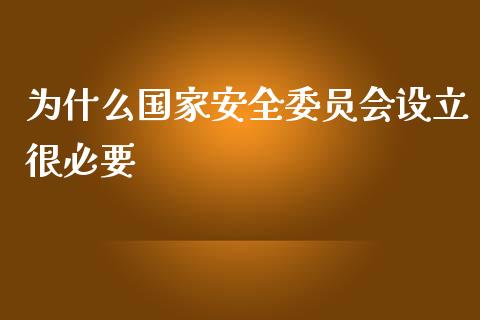 为什么国家安全委员会设立很必要_https://m.15771688.com_道指实时行情_第1张