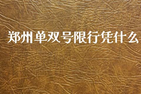 郑州单双号限行凭什么_https://m.15771688.com_期货手续费_第1张