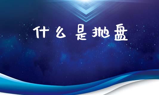 什么是抛盘_https://m.15771688.com_美国道指_第1张
