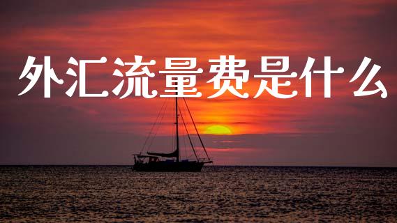 外汇流量费是什么_https://m.15771688.com_道指实时行情_第1张
