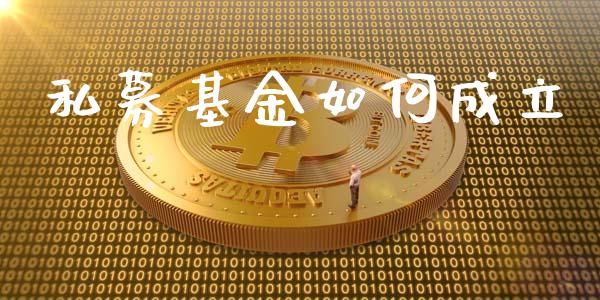 私募基金如何成立_https://m.15771688.com_期货手续费_第1张