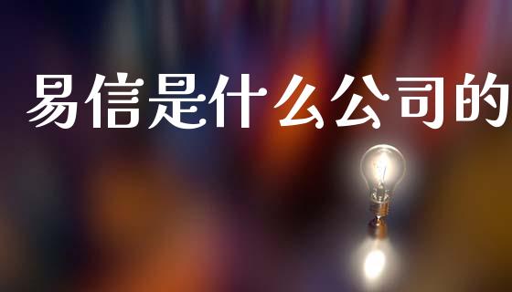 易信是什么公司的_https://m.15771688.com_期货手续费_第1张