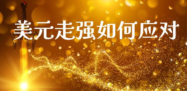 美元走强如何应对_https://m.15771688.com_期货手续费_第1张