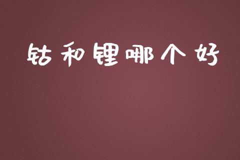 钴和锂哪个好_https://m.15771688.com_期货开户_第1张