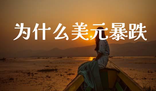 为什么美元暴跌_https://m.15771688.com_道指实时行情_第1张