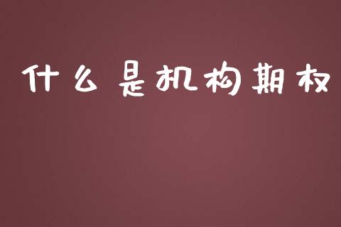 什么是机构期权_https://m.15771688.com_期货手续费_第1张