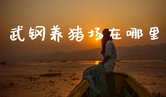 武钢养猪场在哪里_https://m.15771688.com_美国道指_第1张