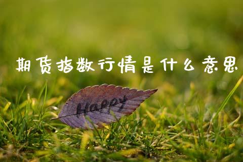 期货指数行情是什么意思_https://m.15771688.com_美国道指_第1张