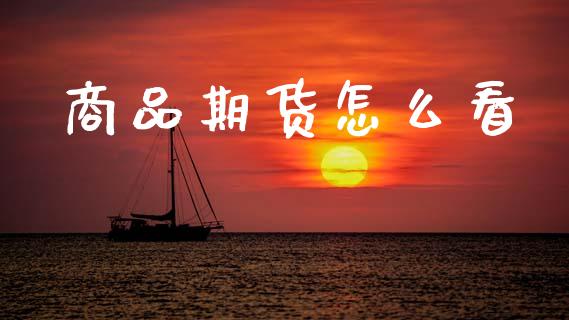 商品期货怎么看_https://m.15771688.com_道指实时行情_第1张