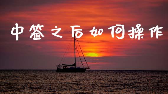 中签之后如何操作_https://m.15771688.com_道指实时行情_第1张