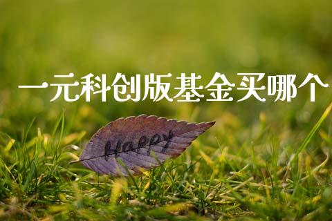一元科创版基金买哪个_https://m.15771688.com_道指实时行情_第1张