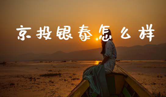 京投银泰怎么样_https://m.15771688.com_美国道指_第1张