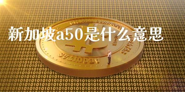 新加坡a50是什么意思_https://m.15771688.com_期货手续费_第1张