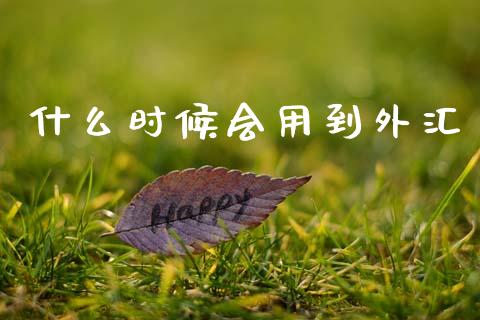 什么时候会用到外汇_https://m.15771688.com_期货开户_第1张