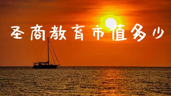 圣商教育市值多少_https://m.15771688.com_期货手续费_第1张