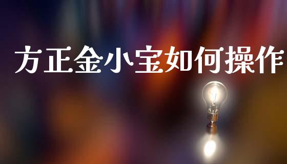 方正金小宝如何操作_https://m.15771688.com_道指实时行情_第1张