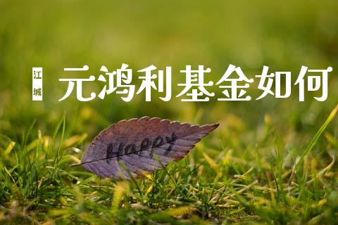 鑫元鸿利基金如何_https://m.15771688.com_美国道指_第1张