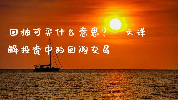 回抽可买什么意思？一文详解投资中的回购交易_https://m.15771688.com_期货开户_第1张
