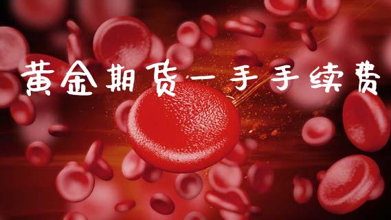 黄金期货一手手续费_https://m.15771688.com_期货开户_第1张