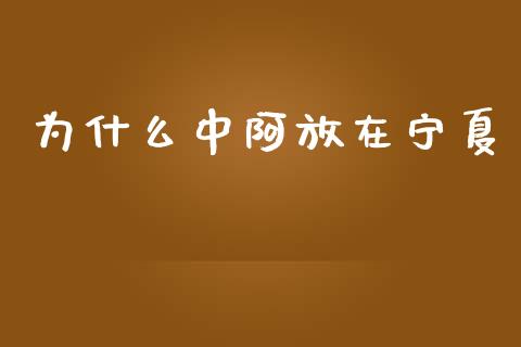 为什么中阿放在宁夏_https://m.15771688.com_期货手续费_第1张