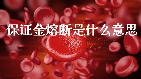 保证金熔断是什么意思_https://m.15771688.com_期货手续费_第1张