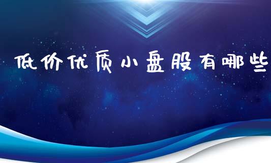 低价优质小盘股有哪些_https://m.15771688.com_美国道指_第1张