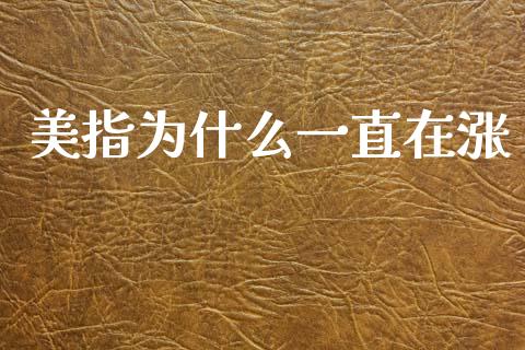 美指为什么一直在涨_https://m.15771688.com_美国道指_第1张