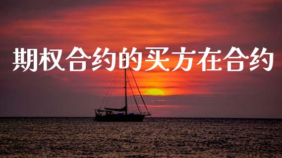 期权合约的买方在合约_https://m.15771688.com_期货开户_第1张