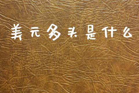 美元多头是什么_https://m.15771688.com_道指实时行情_第1张