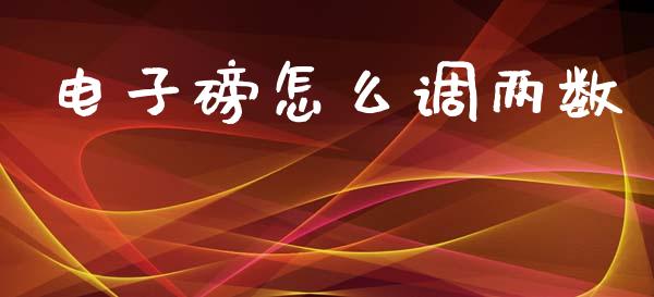 电子磅怎么调两数_https://m.15771688.com_美国道指_第1张