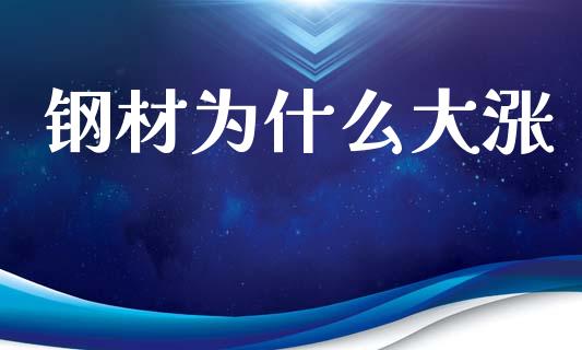 钢材为什么大涨_https://m.15771688.com_期货手续费_第1张
