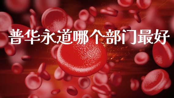 普华永道哪个部门最好_https://m.15771688.com_美国道指_第1张