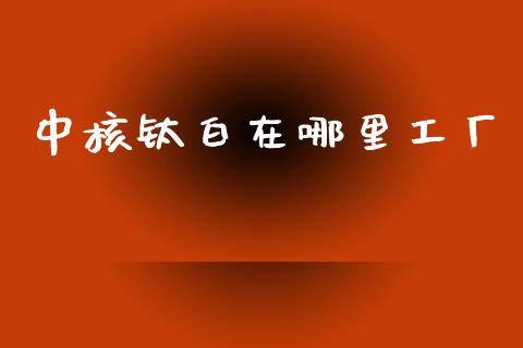 中核钛白在哪里工厂_https://m.15771688.com_道指实时行情_第1张