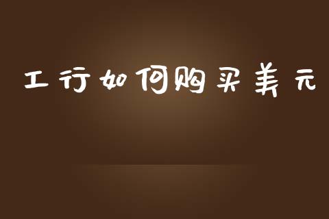 工行如何购买美元_https://m.15771688.com_期货开户_第1张