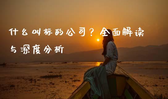 什么叫标的公司？全面解读与深度分析_https://m.15771688.com_期货手续费_第1张