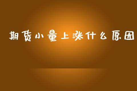 期货小量上涨什么原因_https://m.15771688.com_道指实时行情_第1张