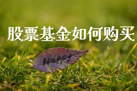 股票基金如何购买_https://m.15771688.com_期货手续费_第1张