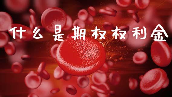 什么是期权权利金_https://m.15771688.com_期货手续费_第1张