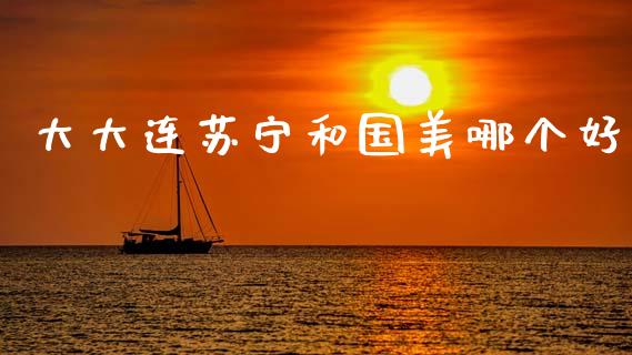大大连苏宁和国美哪个好_https://m.15771688.com_道指实时行情_第1张
