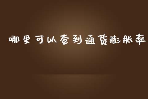 哪里可以查到通货膨胀率_https://m.15771688.com_期货开户_第1张