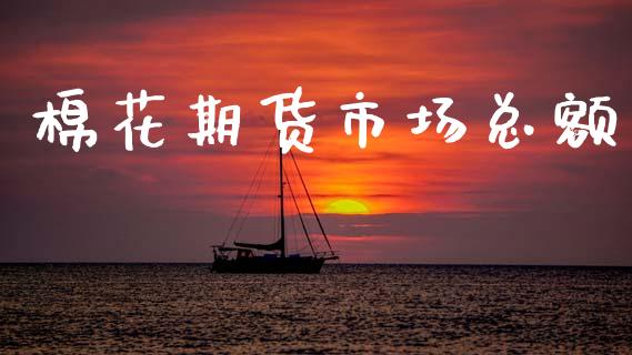 棉花期货市场总额_https://m.15771688.com_期货手续费_第1张