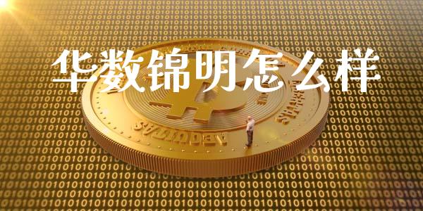 华数锦明怎么样_https://m.15771688.com_期货开户_第1张