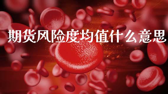期货风险度均值什么意思_https://m.15771688.com_期货手续费_第1张