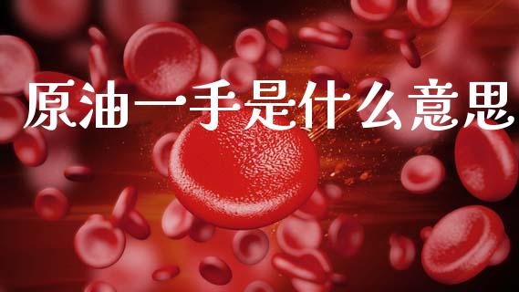 原油一手是什么意思_https://m.15771688.com_美国道指_第1张