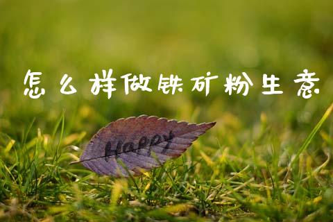怎么样做铁矿粉生意_https://m.15771688.com_期货开户_第1张
