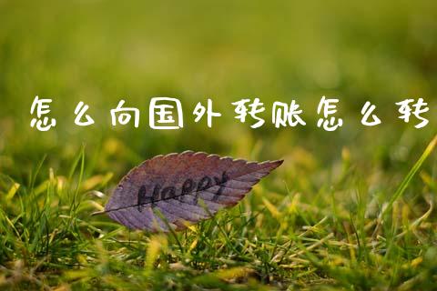怎么向国外转账怎么转_https://m.15771688.com_美国道指_第1张